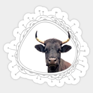 Cow Farm Animal Portrait Peekaboo Sticker